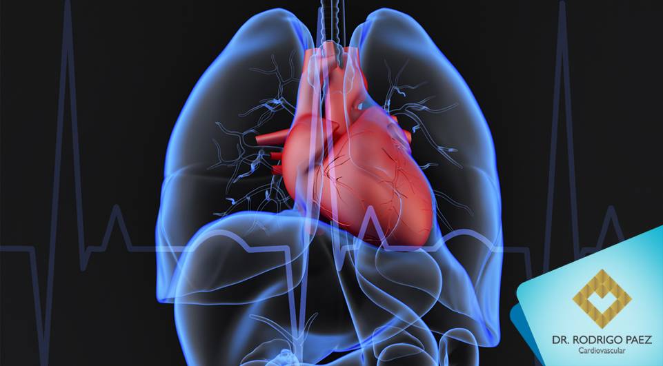 Sensação de palpitação no coração pode ser sinal de problemas cardíacos.