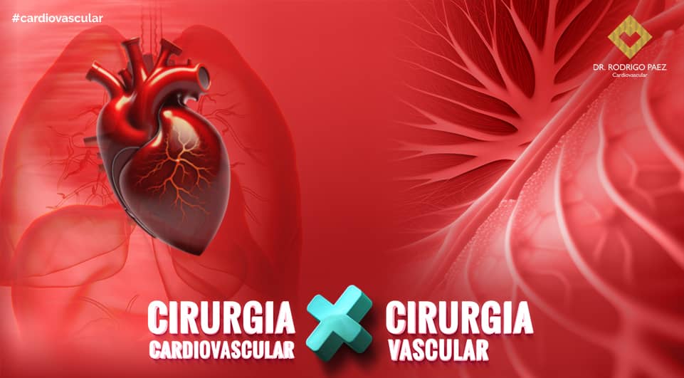Cirurgia Cardiovascular vs. Cirurgia Vascular: entenda as diferenças.